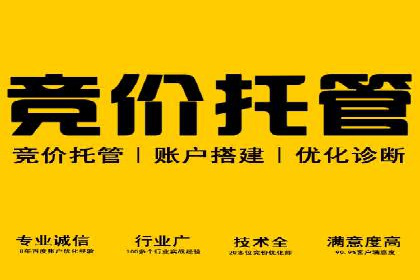 实战派心得：百度竞价代理案例解读与优化技巧